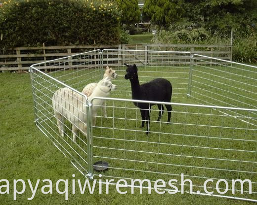 hot sale galvanized sheep wire mesh portable fence panel/corral panel/alpaca panel( factory )